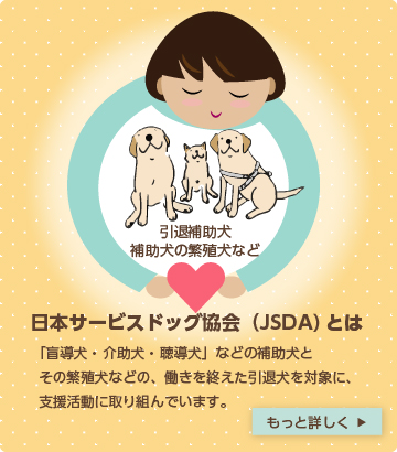 盲導犬・介助犬・聴導犬などの補助犬とその繁殖犬などの、働きを終えた引退犬を対象に、支援活動に取り組んでいます。